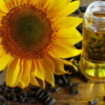 ¿Que es Aceite de girasol en cosmetica?