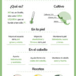 ¿Que es Aceite de jojoba en cosmetica?