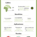 ¿Que es Aceite de ricino en cosmetica?