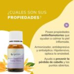 ¿Que es Aceite de ylang-ylang en cosmetica?
