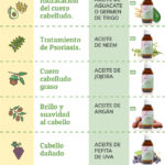 ¿Que es Aceite para el cabello en cosmetica?