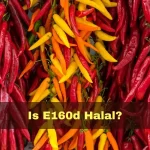 ¿Que es el E160d - Paprika?