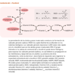 ¿Que es el E313 - Tocoferol?