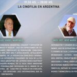 ¿Que es la Isnofilia?