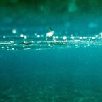 ¿Que es la Talasofilia?